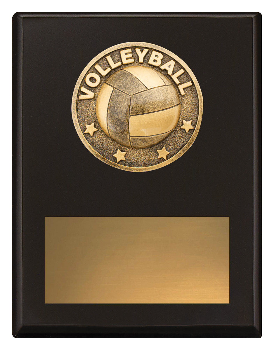 Challenge Plaque - Volleyball - 175mm