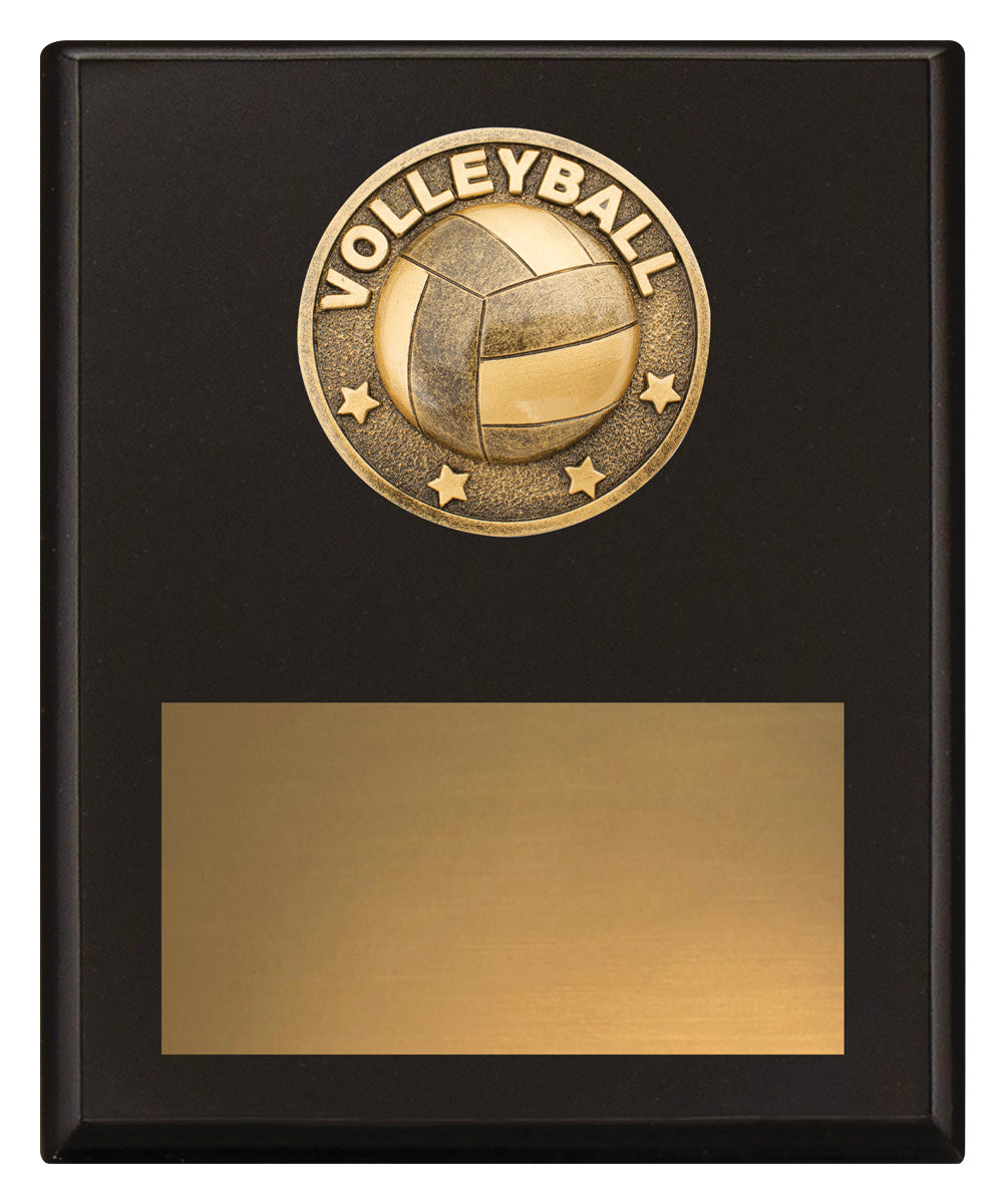 Challenge Plaque - Volleyball - 200mm