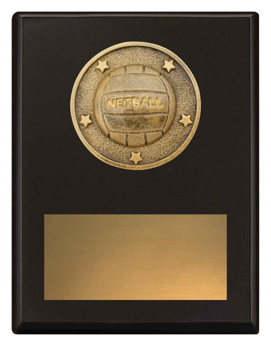 Challenge Plaque - Netball - 175mm
