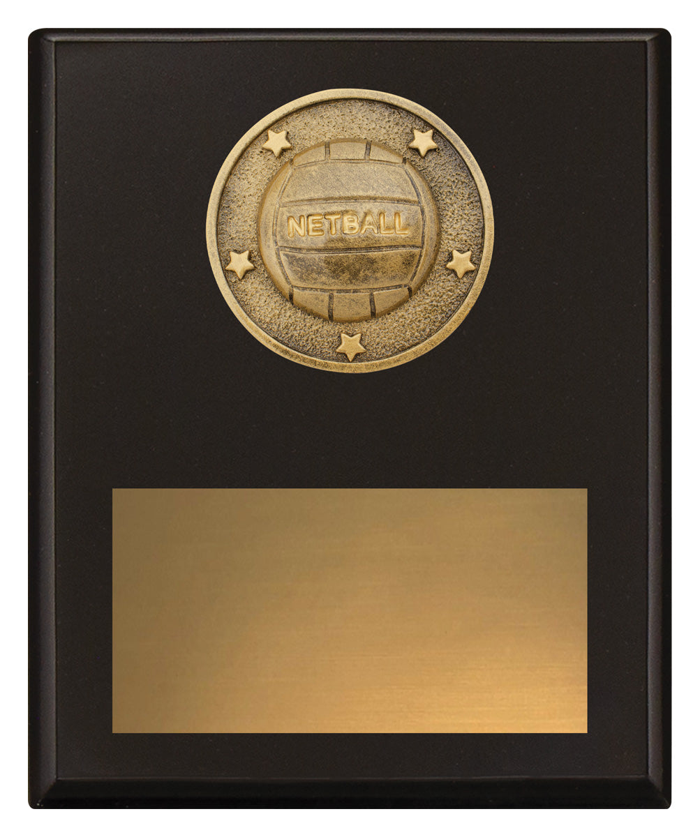 Challenge Plaque - Netball - 200mm