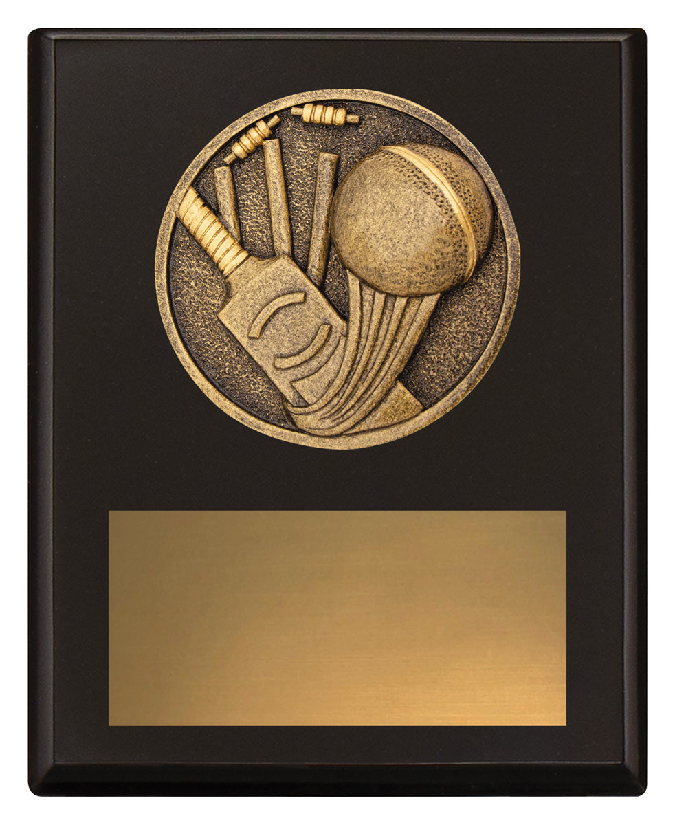 Challenge Plaque - Cricket - 150mm