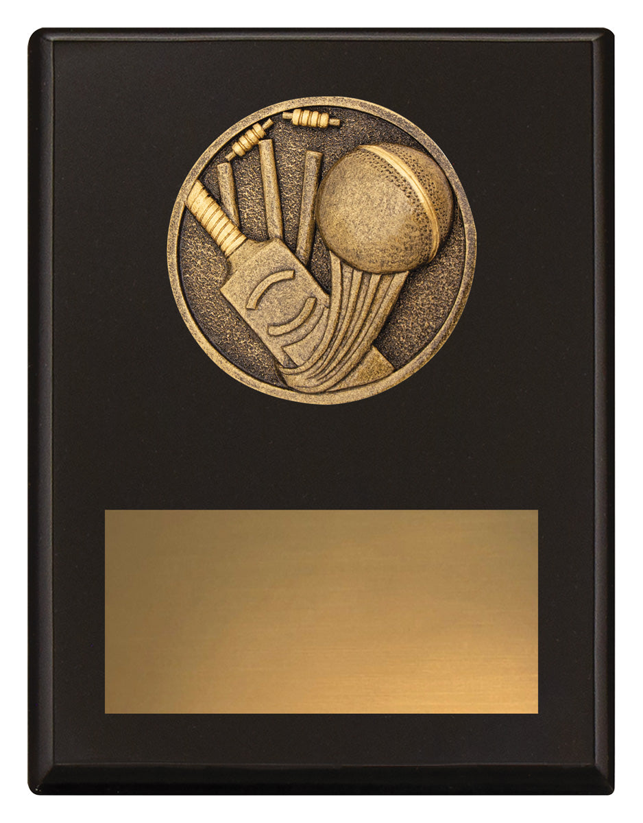 Challenge Plaque - Cricket - 175mm