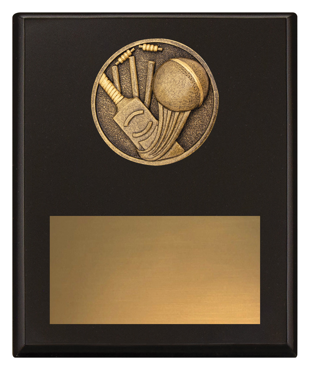 Challenge Plaque - Cricket - 200mm