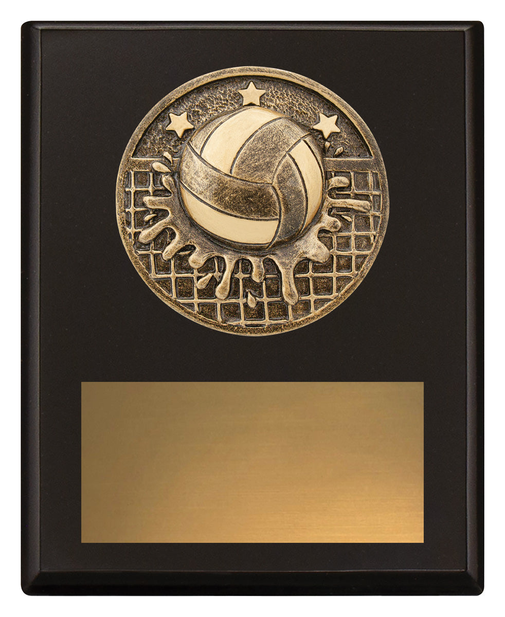 Challenge Plaque - Water Polo - 150mm