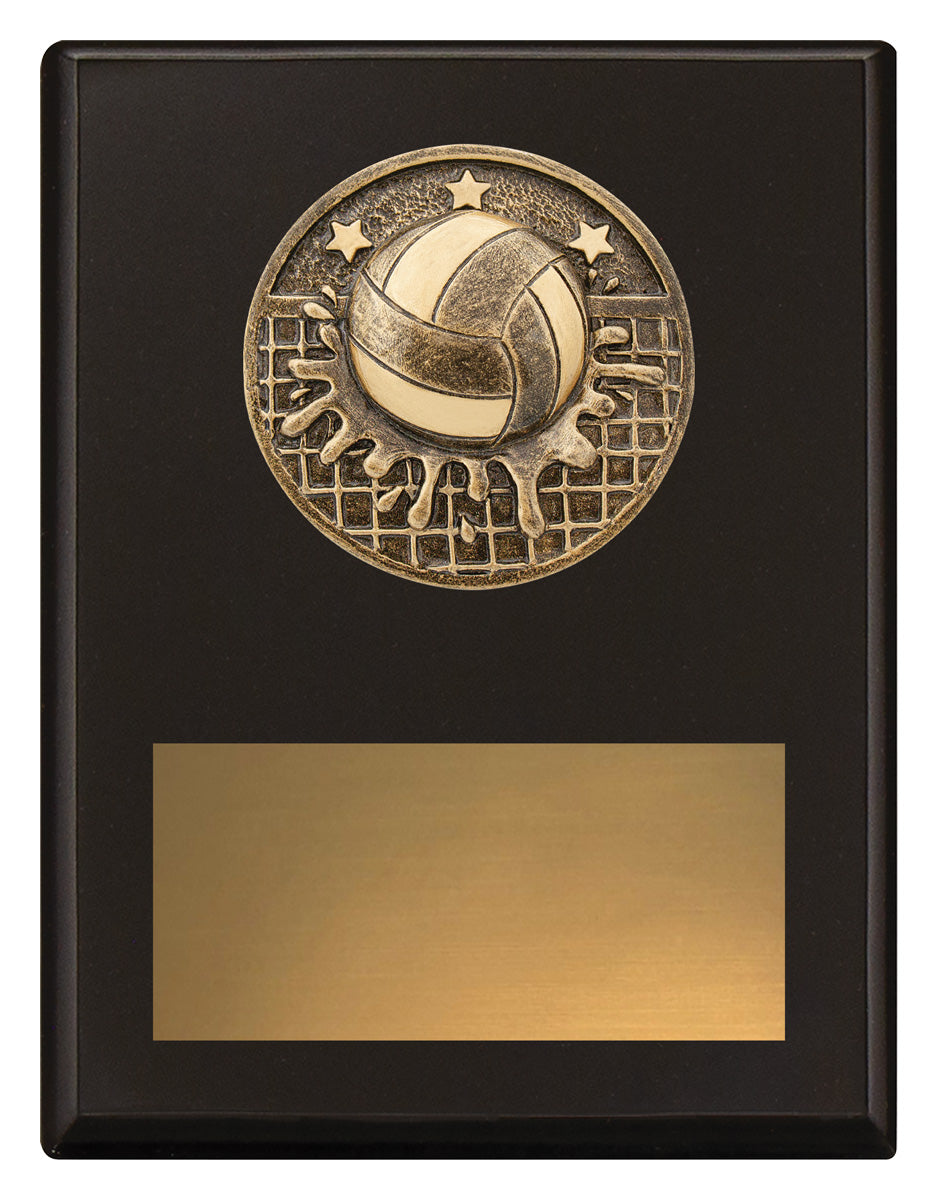 Challenge Plaque - Water Polo - 175mm