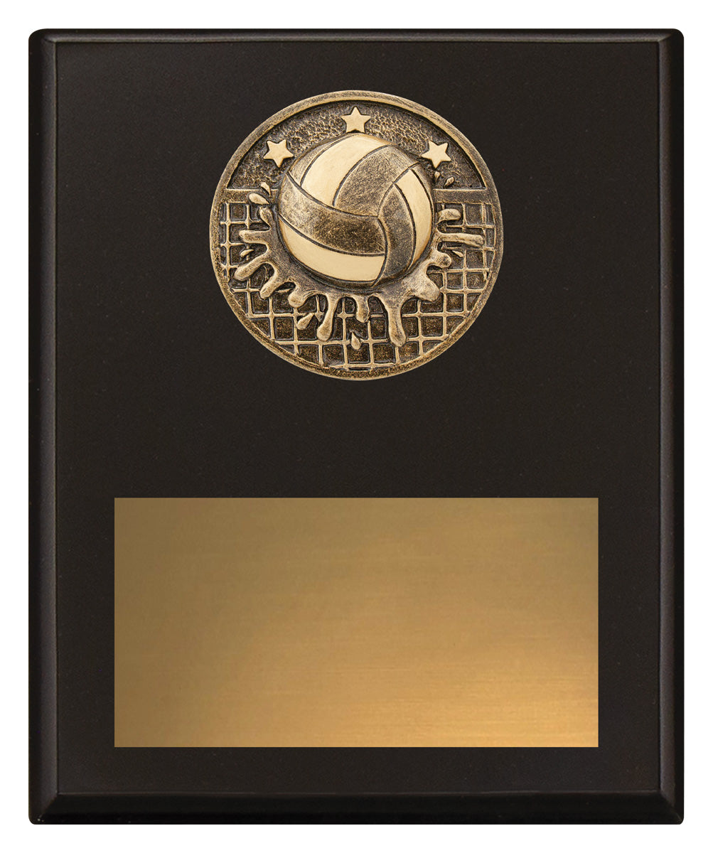 Challenge Plaque - Water Polo - 200mm