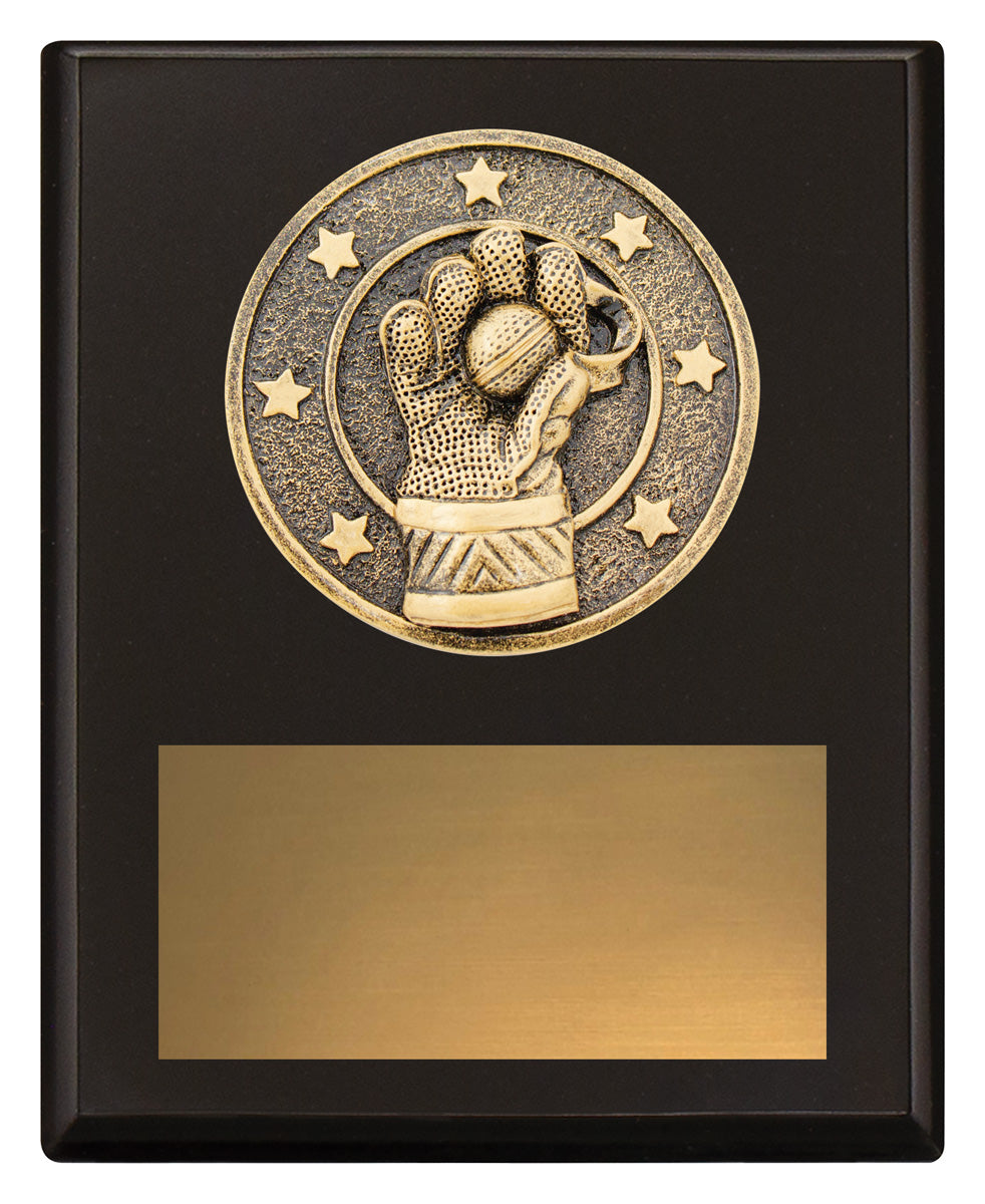 Challenge Plaque - Wicketkeeping - 150mm