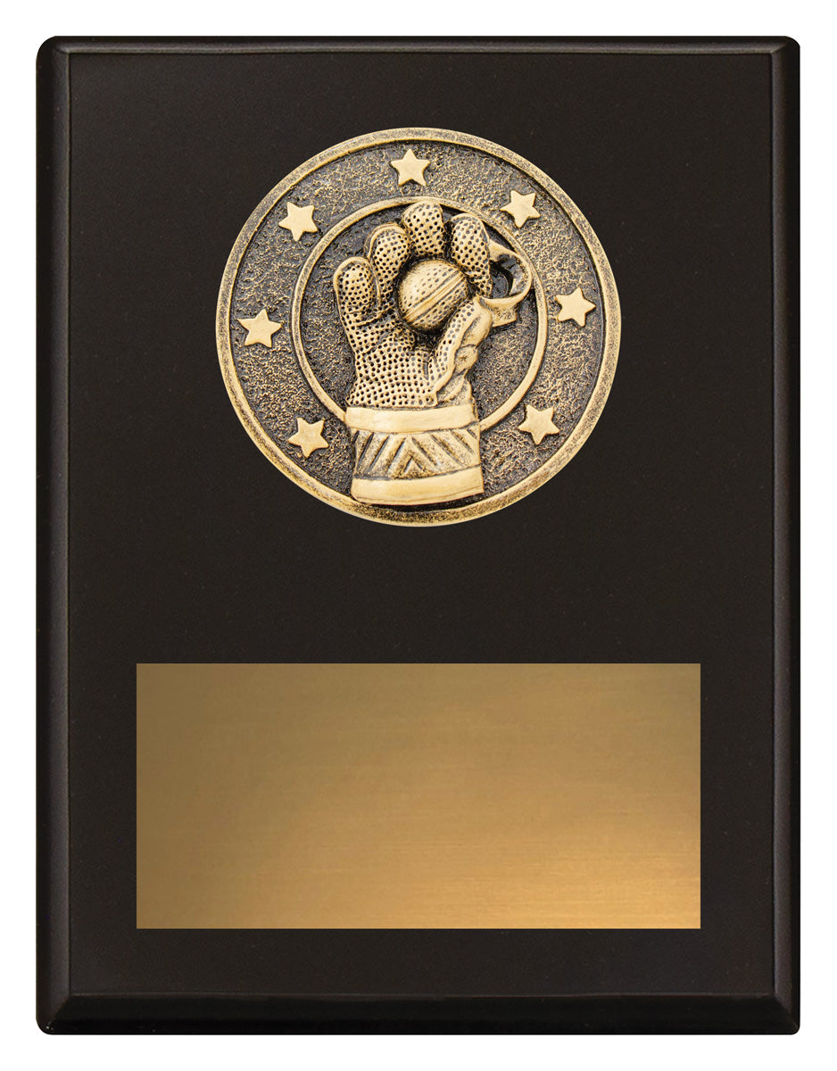 Challenge Plaque - Wicketkeeping - 175mm