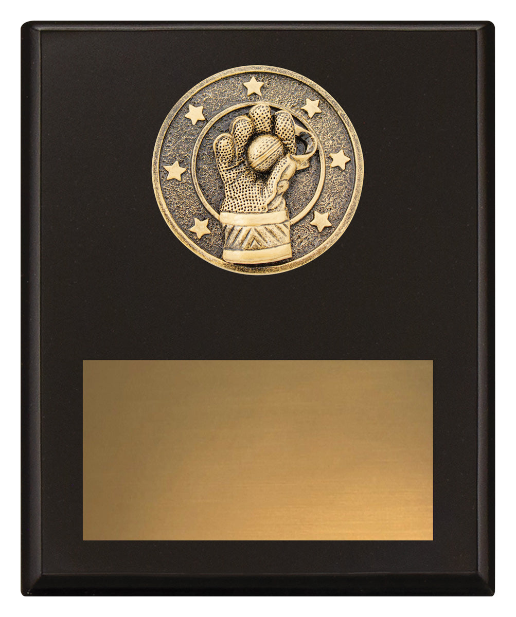 Challenge Plaque - Wicketkeeping - 200mm