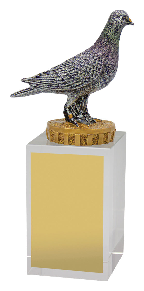 Pigeon Budget Crystal - 160mm