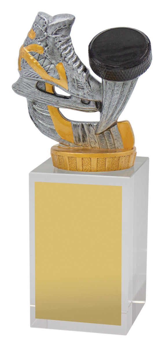 Ice Hockey Budget Crystal - 160mm