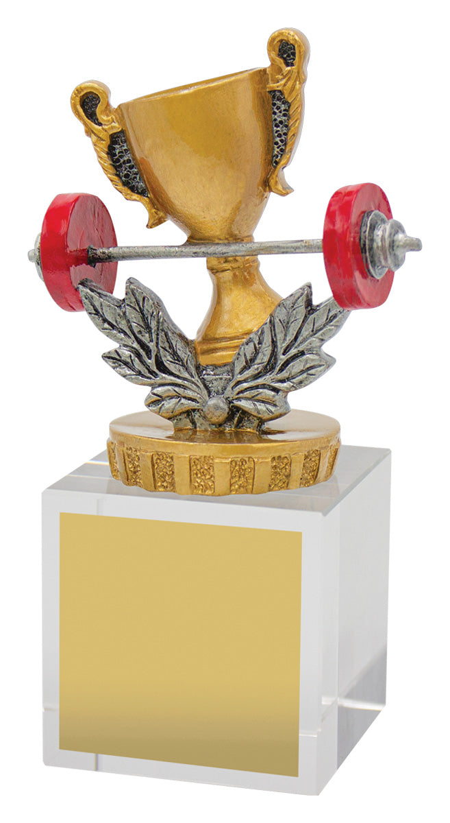 Fitness Budget Crystal - 120mm