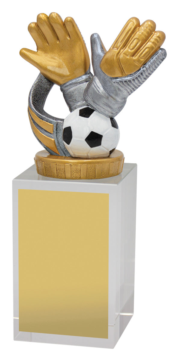 Goalie Budget Crystal - 160mm