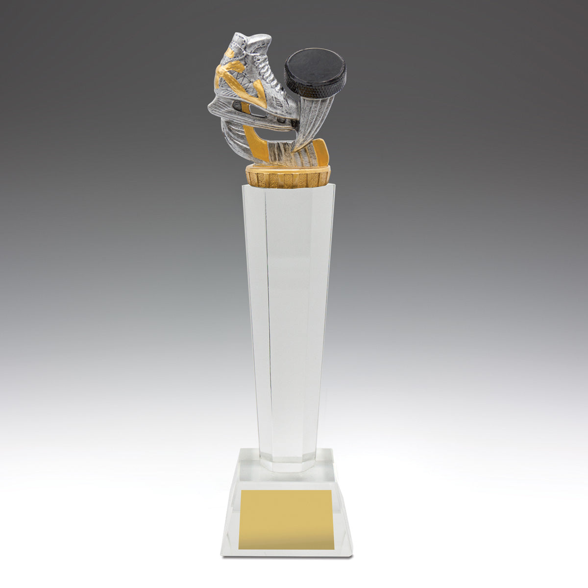 Ice Hockey Crystal  - 265mm