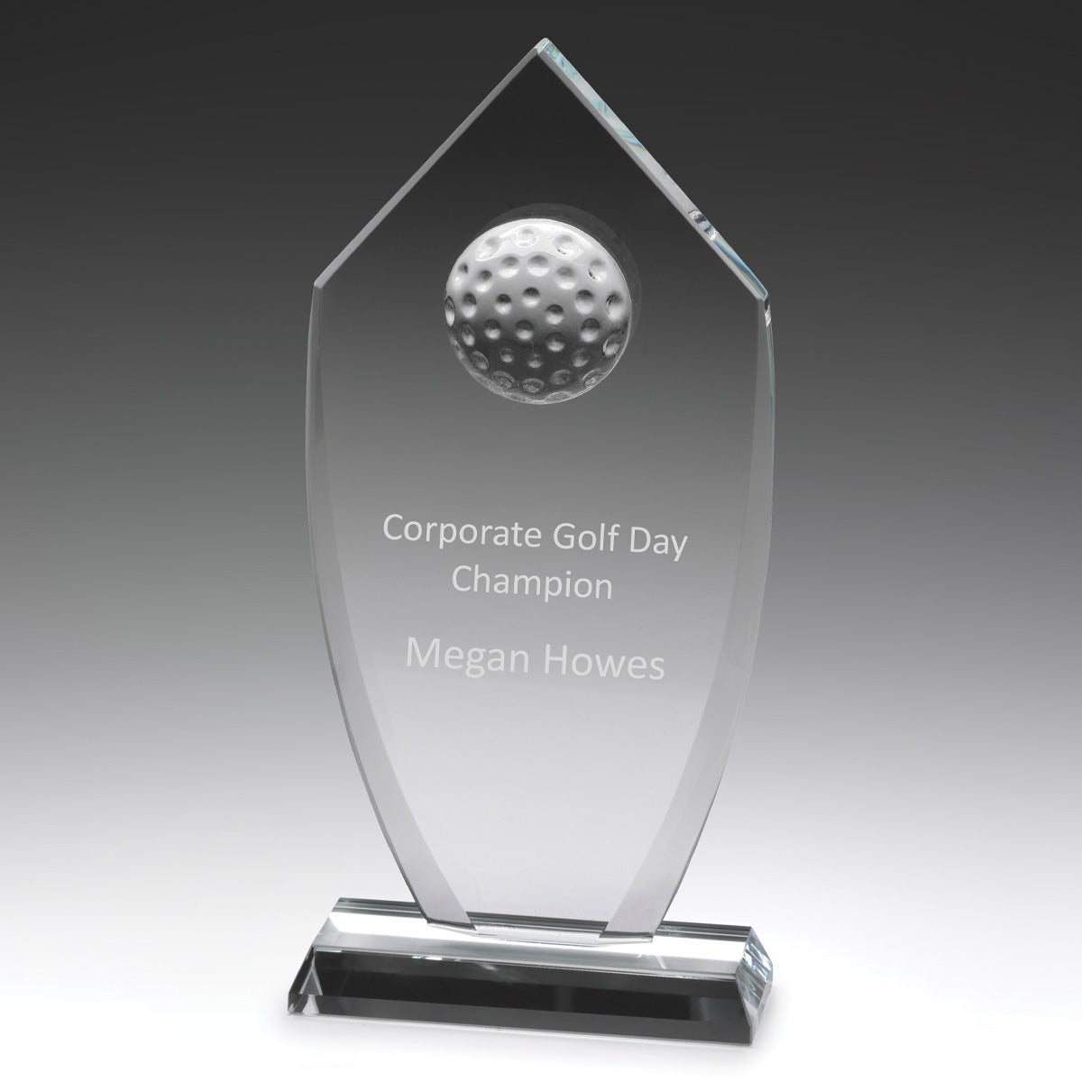 Glass Budget Shield - 220mm
