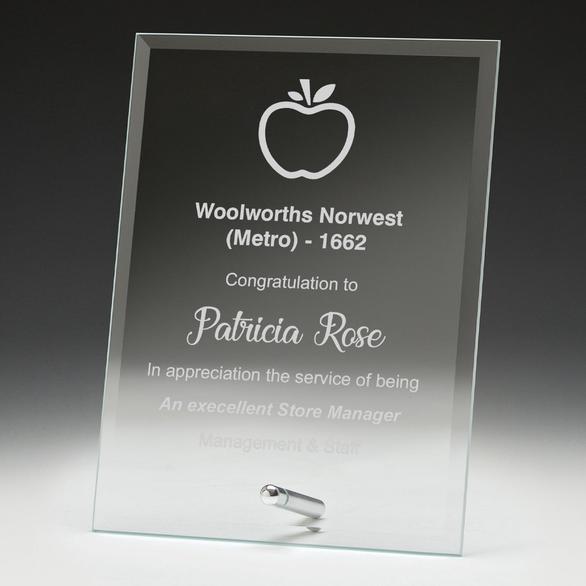 Budget Plaque - 175mm