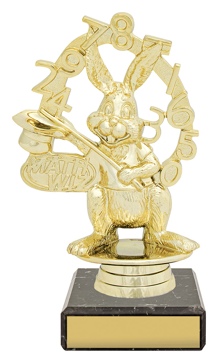 Figure Trophy - Maths - 150mm